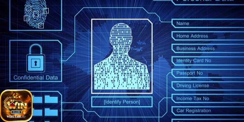 Người chơi bắt buộc phải đăng ký thông tin trung thực nhất