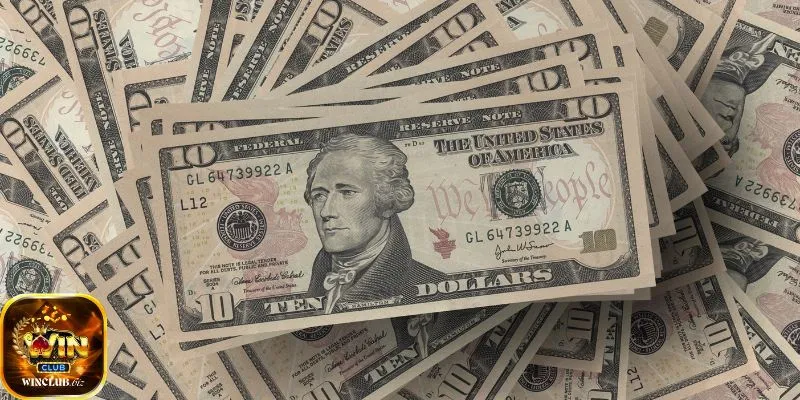 Những quyền lợi hấp dẫn dành riêng cho người đăng ký thành công