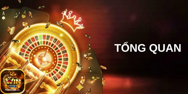 Tổng quan về chính sách